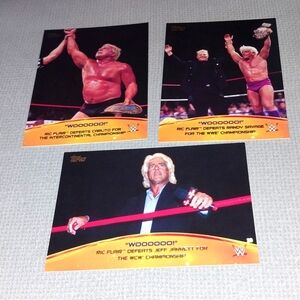 3 2015 Topps Ric Flair WWE Crowd Chants Insert Cards WOOOOOO.